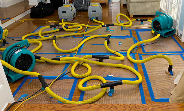 Professional Burst Pipe Water Damage technician working in Lyon Station, PA